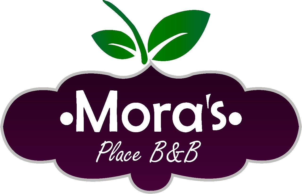 Mora'S Place B&B Monteverde Esterno foto